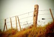 Fence-Filtered