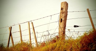 Fence-Filtered