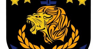Logo Navy team raiders