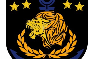 Logo Navy team raiders